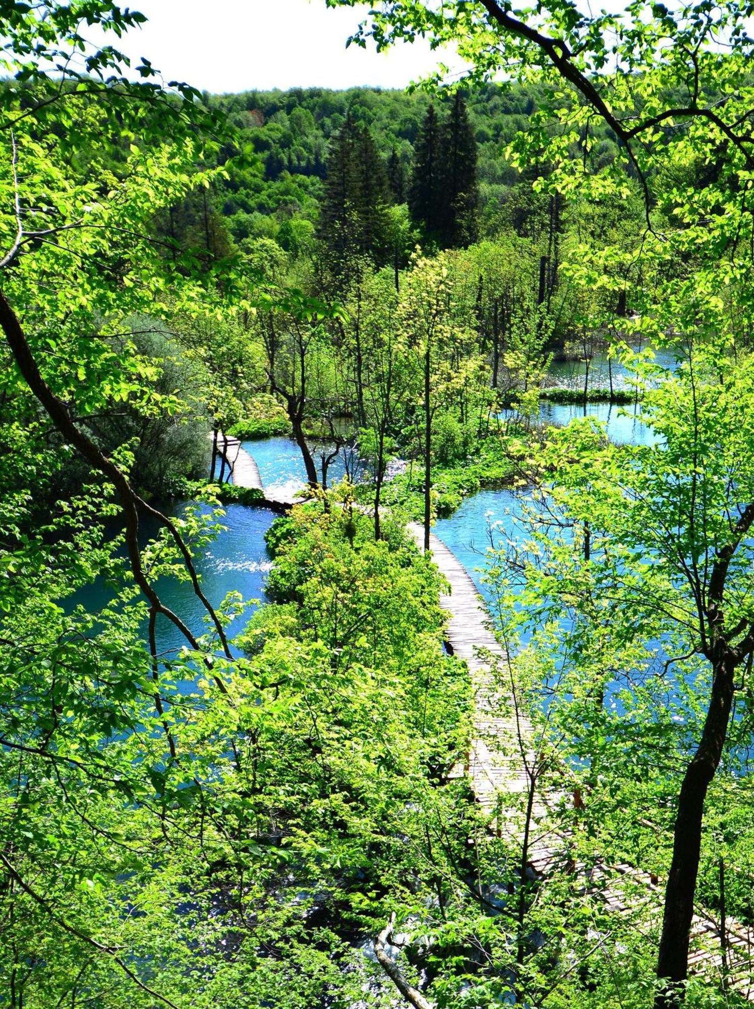 Отель House Janja Plitvice Селиште-Дрежничко Экстерьер фото